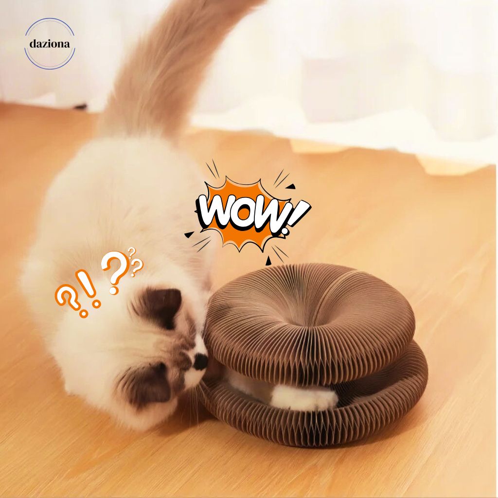 PawLoop - Your Kitty's BFF