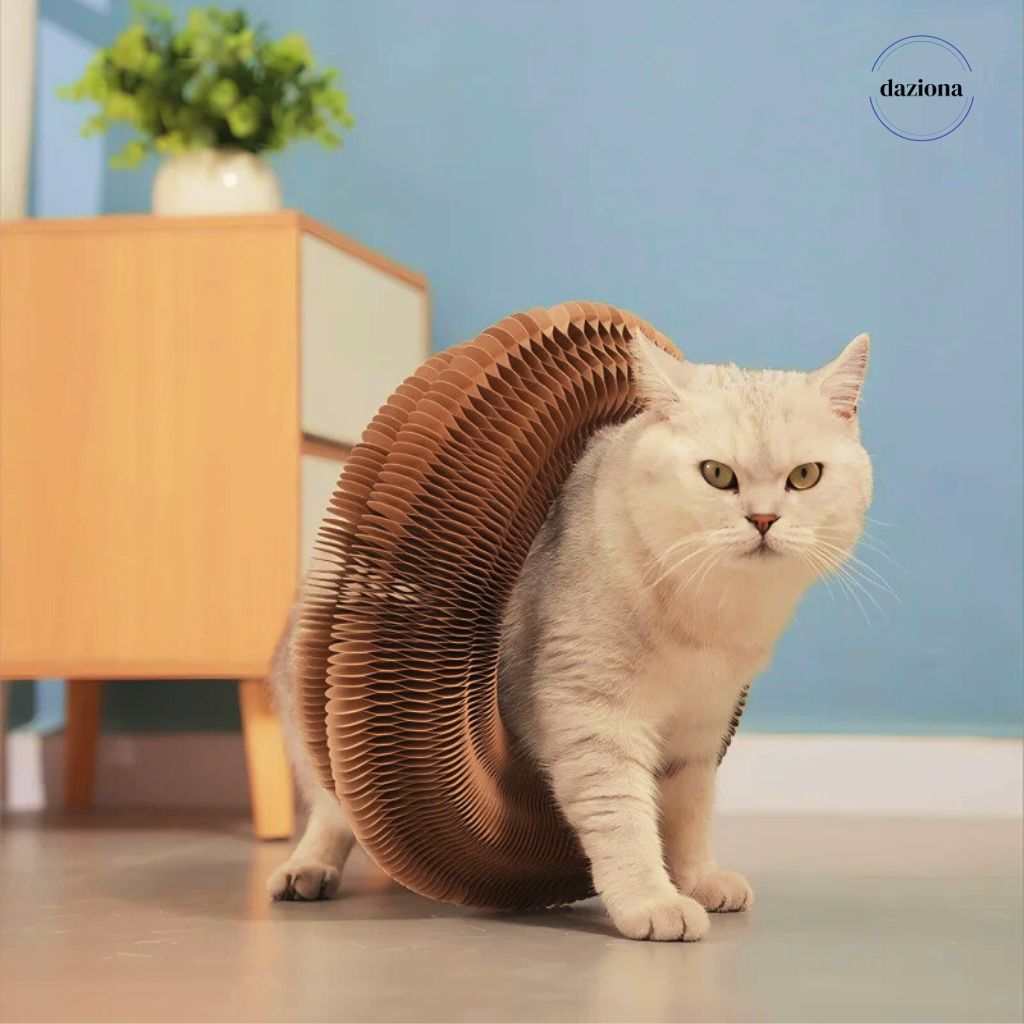 PawLoop - Your Kitty's BFF