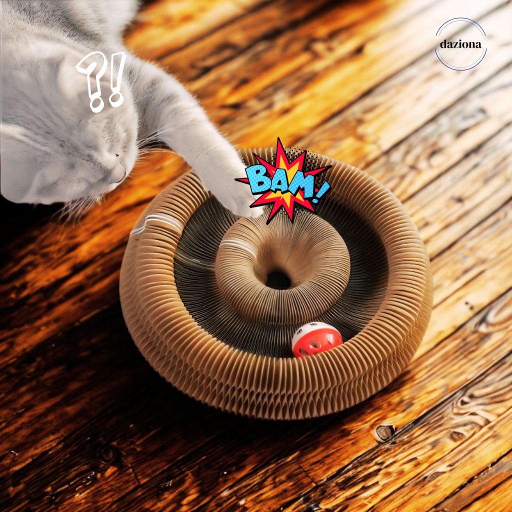 PawLoop - Your Kitty's BFF