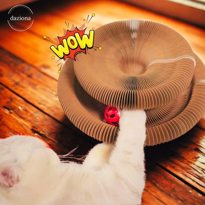 PawLoop - Your Kitty's BFF
